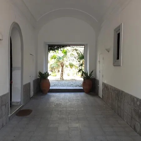 Alcala Living * Catania