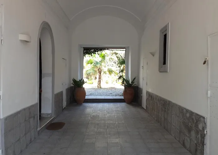 Alcala Living * Katánie